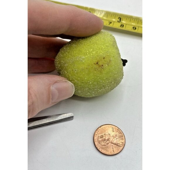 VTG Faux Sugar Fruit Lot 19 Home Decor Set Crafts DIY Cottage Tropical - Picture 10 of 13